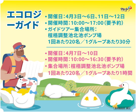 エコ生態ツアー